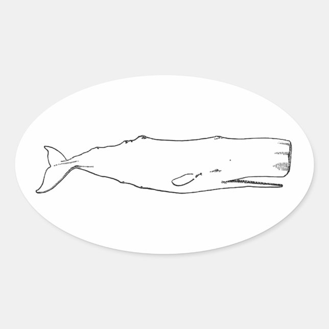 Sperm Whale (line art) Oval Sticker (Front)