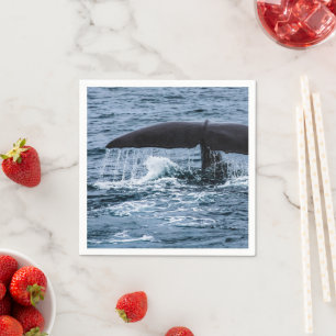 Sperm Whale Napkins