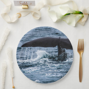 Sperm Whale Paper Plates