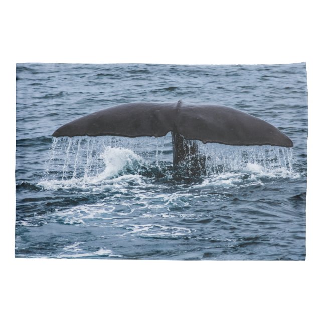 Sperm Whale Pillow Case (Back)