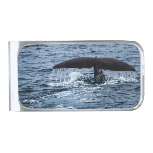 Sperm Whale Silver Finish Money Clip