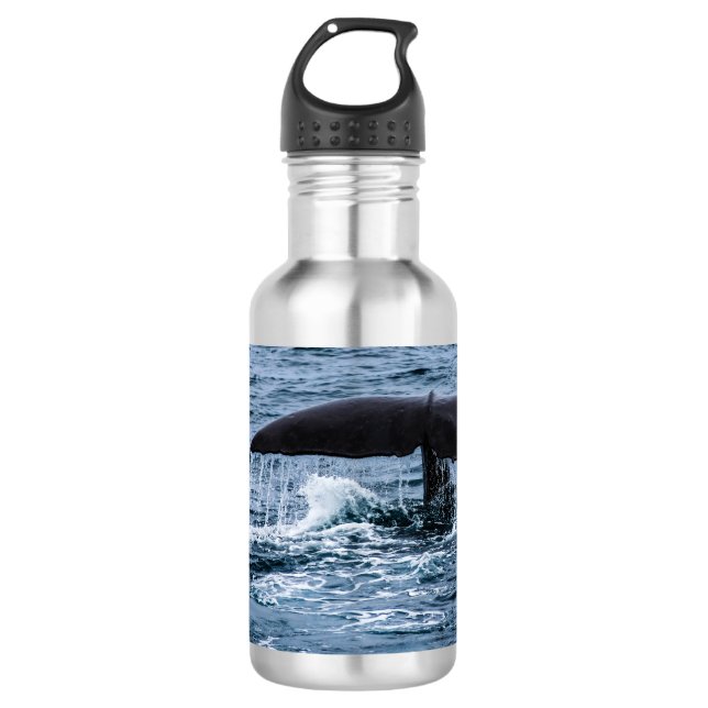 Sperm Whale Stainless Steel Water Bottle (Front)