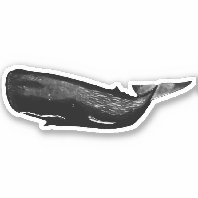 SPERM WHALE STICKER (Front)