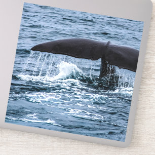 Sperm Whale Sticker