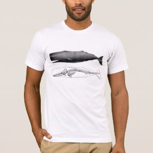 sperm whale t shirt