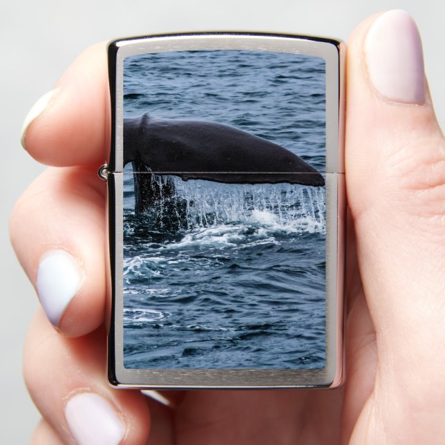 Sperm Whale Zippo Lighter (In Hand)