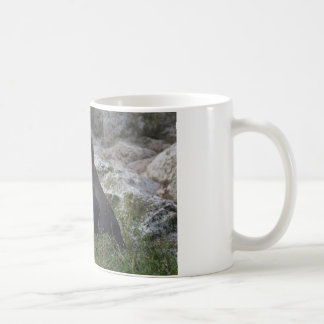 Spheniscus humboldti coffee mug
