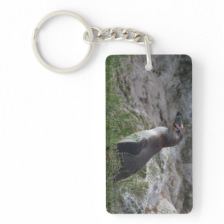Spheniscus humboldti keychain