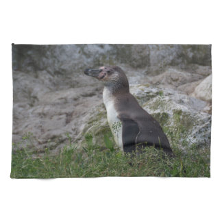 Spheniscus humboldti kitchen towel