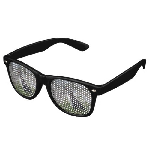 Spheniscus humboldti retro sunglasses