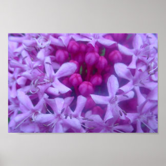 Sphere of Purple Poster