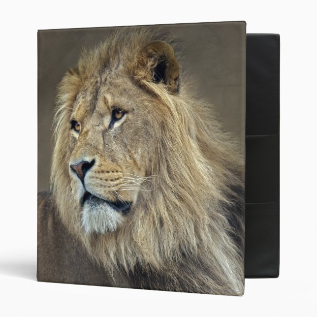Sphinx Avery Binder (Front/Inside)