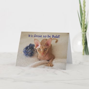 Sphinx Cat Hairless Chemotherapy Humor Card