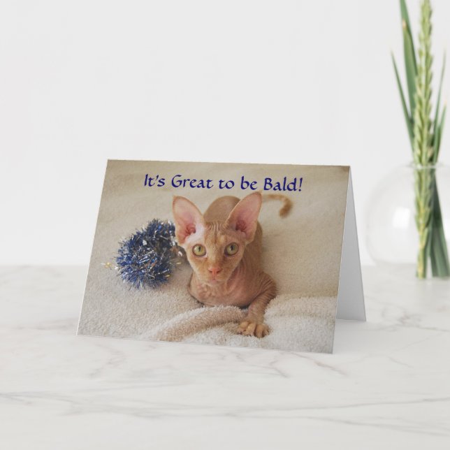 Sphinx Cat Hairless Chemotherapy Humor Card (Front)