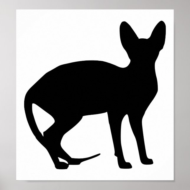 Sphinx cat poster (Front)