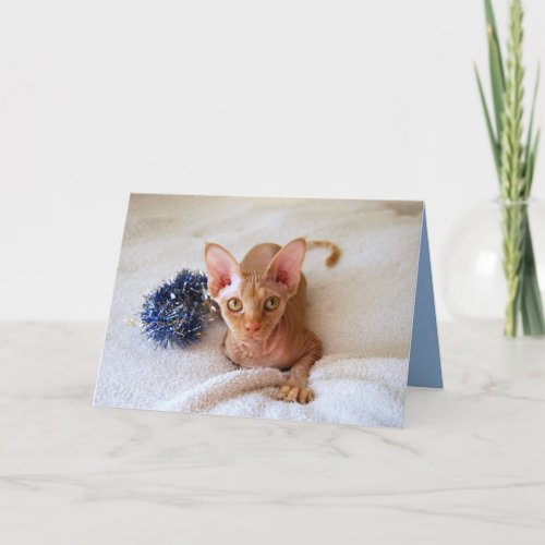 Sphinx Cat With Blue Tinsel Card