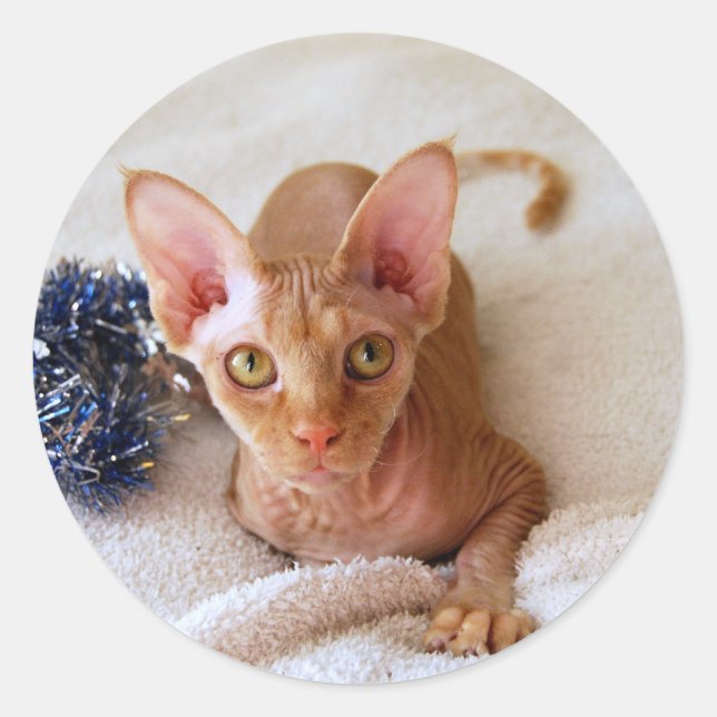 Sphinx Cat With Tinsel Sticker (Front)