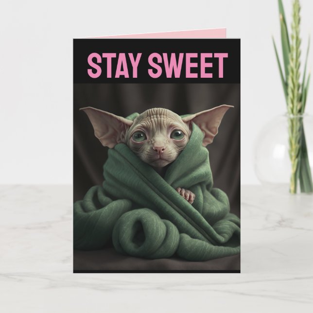 SPHINX CUTE HAIRLESS CAT BIG VALENTINE'S DAY CARD (Front)