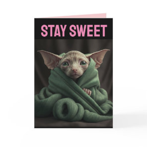 SPHINX CUTE HAIRLESS CAT BIG VALENTINE'S DAY CARD