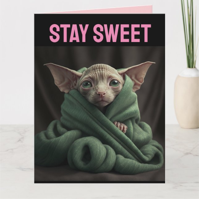 SPHINX CUTE HAIRLESS CAT VALENTINE'S DAY GREETING CARD (Front)
