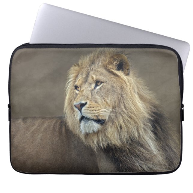 Sphinx Laptop Sleeve (Front)