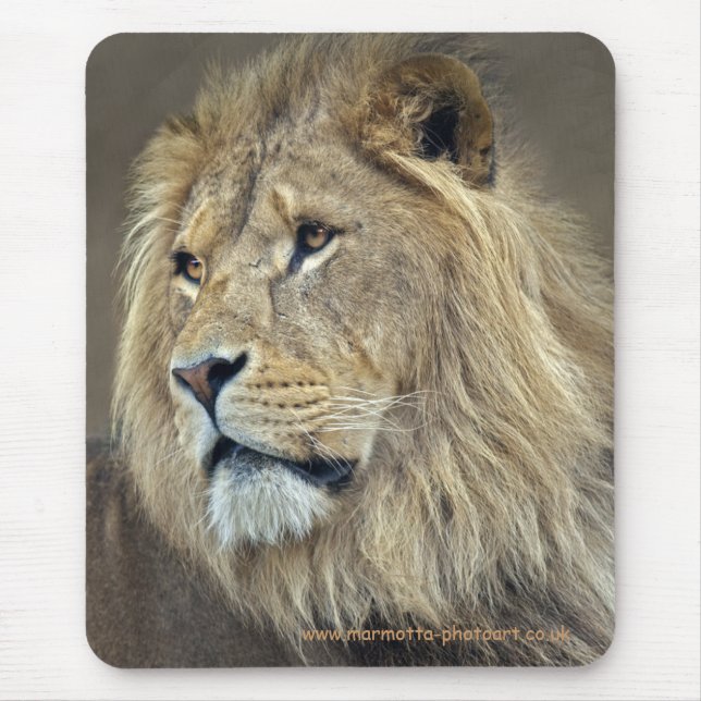 Sphinx Mousemat Mouse Pad (Front)