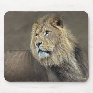 Sphinx Mousemat Mouse Pad