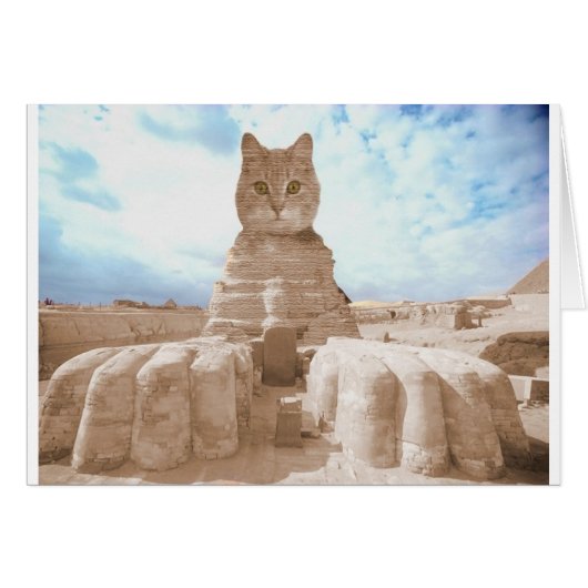 SphinxCat Cards (Front Horizontal)