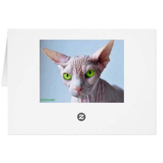 SPHYNX (Back Horizontal)