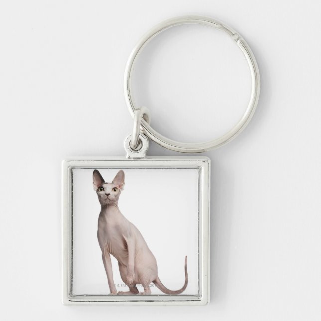 Sphynx (13 months old) keychain (Front)
