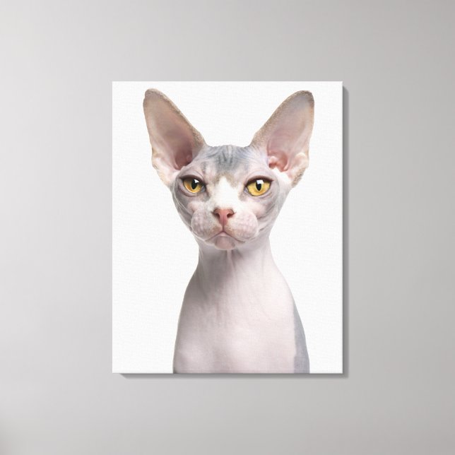 Sphynx (7 months old) canvas print (Front)