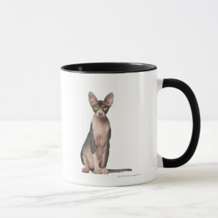 Sphynx (7 months old) sitting mug