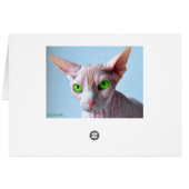 SPHYNX CARDS (Back Horizontal)