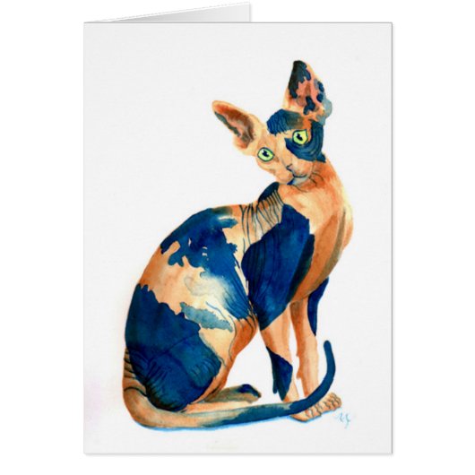 Sphynx Cat 6 Cards (Front)