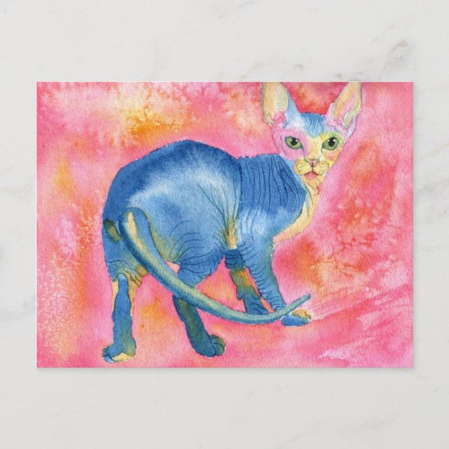 Sphynx Cat 7 Postcard (Front)