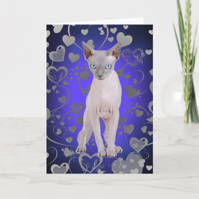 Sphynx cat card (Front)