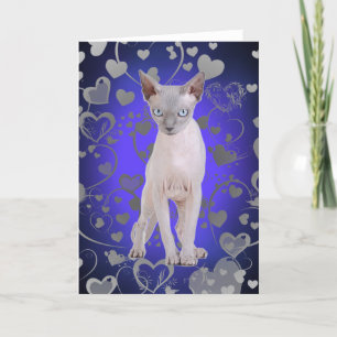 Sphynx cat card