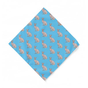 Sphynx cat cartoon illustration  bandana