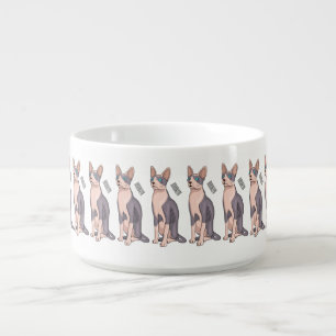 Sphynx cat cartoon illustration  bowl
