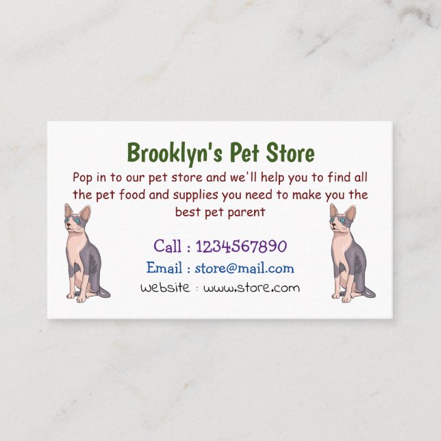 Sphynx cat cartoon illustration business card (Front)