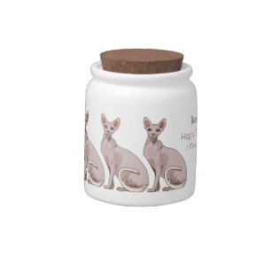 Sphynx cat cartoon illustration candy jar