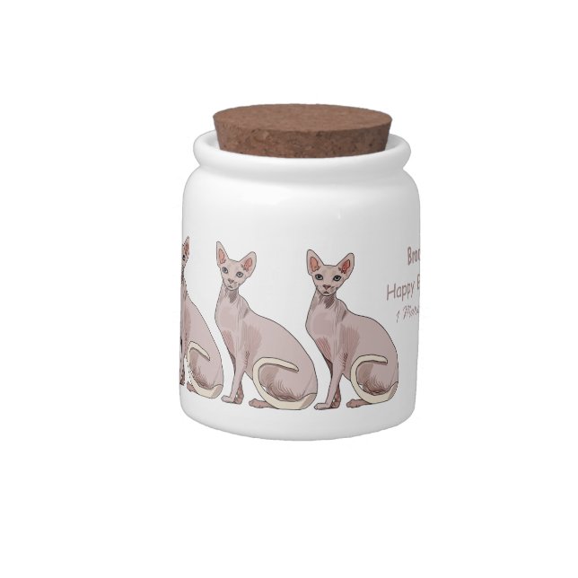 Sphynx cat cartoon illustration candy jar (Left)