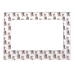 Sphynx cat cartoon illustration  magnetic frame