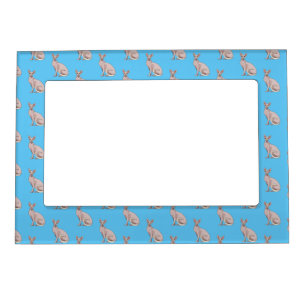 Sphynx cat cartoon illustration  magnetic frame