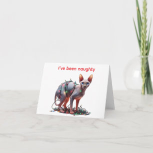 Sphynx Cat Christmas Card