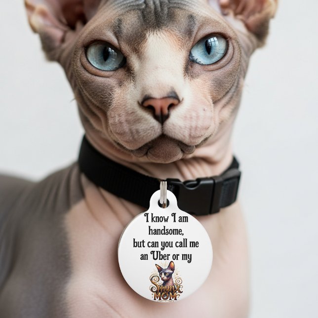 Sphynx Cat Funny  Pet ID Tag (Funny Cat ID tag sphynx cats)