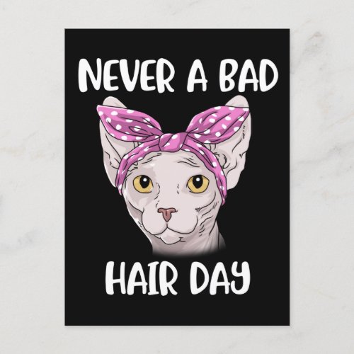 Sphynx Cat Gifts For Women And Men Sphynx Cat Postcard