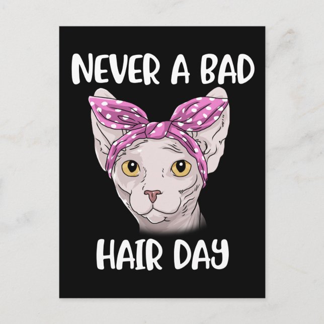 Sphynx Cat Gifts For Women And Men Sphynx Cat Postcard (Front)