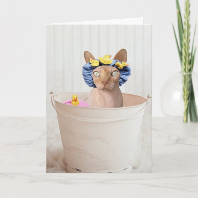 SPHYNX CAT (HAIRLESS) FUNNY CAT BIRTHDAY CARDS (Front)
