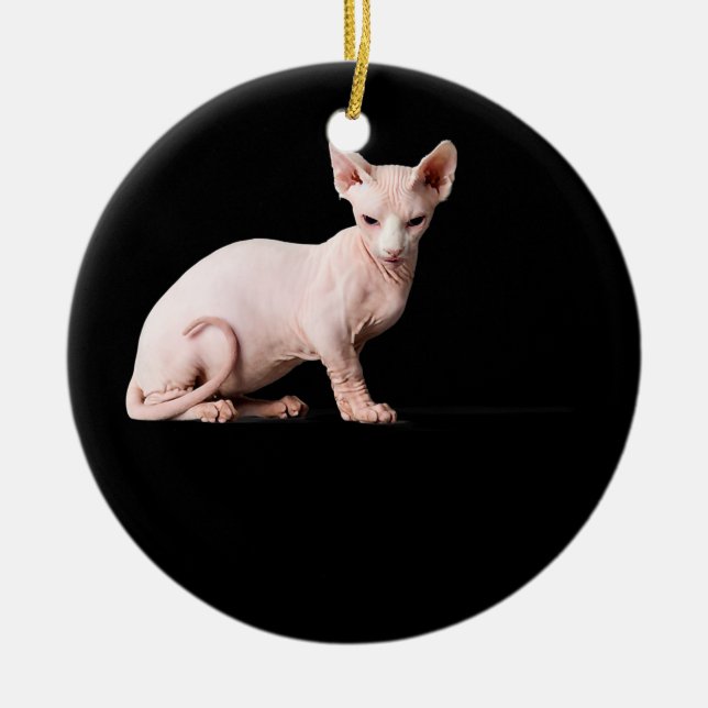 Sphynx cat lover gift for men women kids boys ceramic ornament (Front)